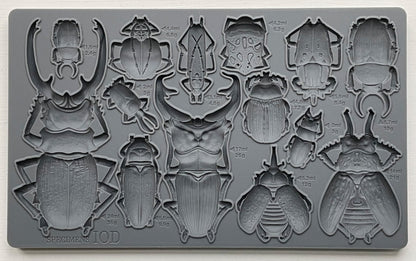 Specimens 6X10 IOD Mould - The Mustard Seed Collection, The Seed