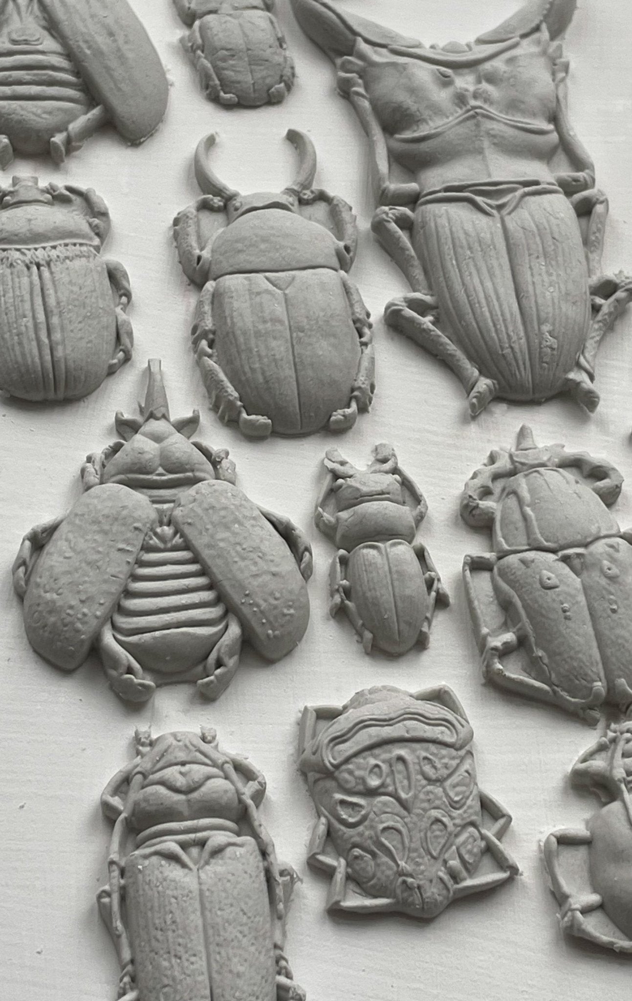 Specimens 6X10 IOD Mould - The Mustard Seed Collection, The Seed