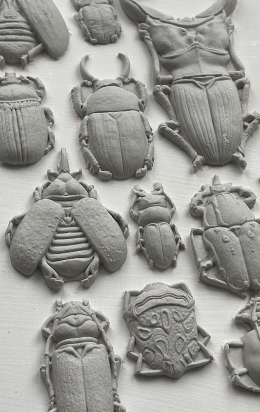 Specimens 6X10 IOD Mould - The Mustard Seed Collection, The Seed