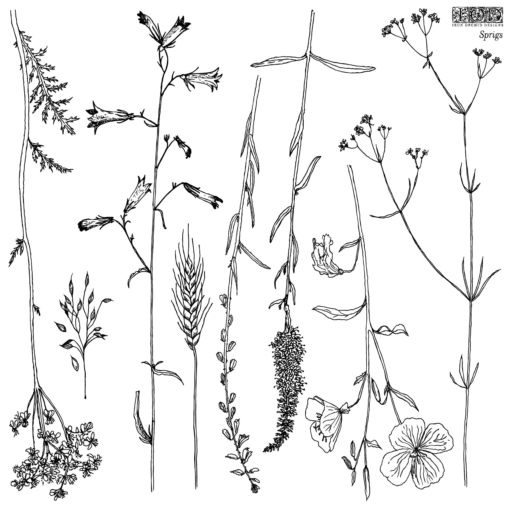 Sprigs 12x12 IOD StampЄ