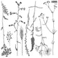 Sprigs 12x12 IOD Stamp