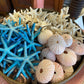 Starfish - Small Blue Finger/Pencil - The Mustard Seed Collection, The Seed