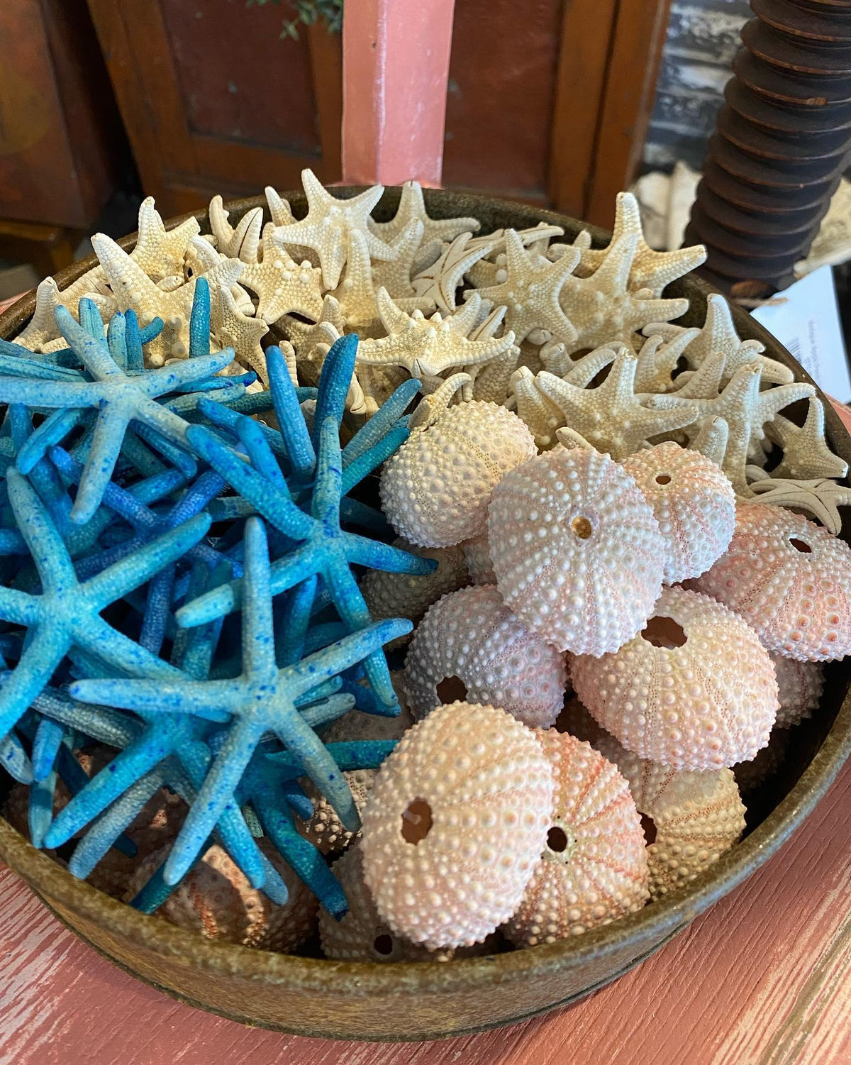 Starfish - Small Blue Finger/Pencil - The Mustard Seed Collection, The Seed