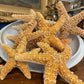 Starfish - Sugar 4 - The Mustard Seed Collection, The Seed