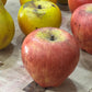 Stone Artificial Fruit Collection 