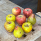 Stone Artificial Fruit Collection 