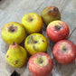 Stone Artificial Fruit Collection 