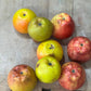 Stone Artificial Fruit Collection 