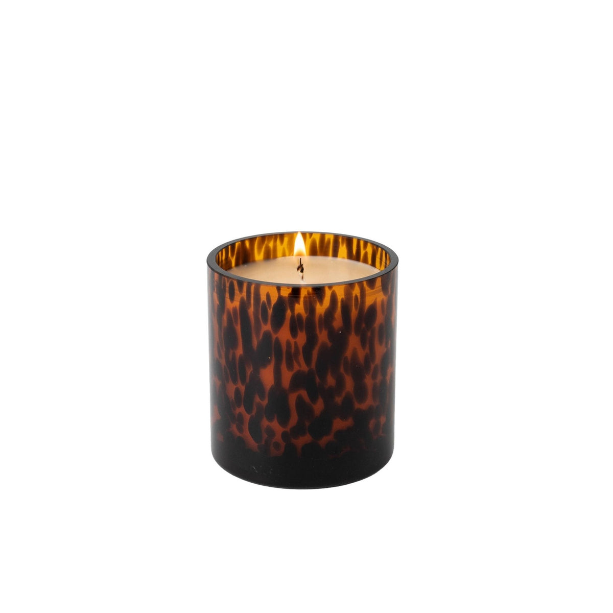 Sweet Grace Collection Candle #064 | Tortoise Candle Bridgewater Candle Company