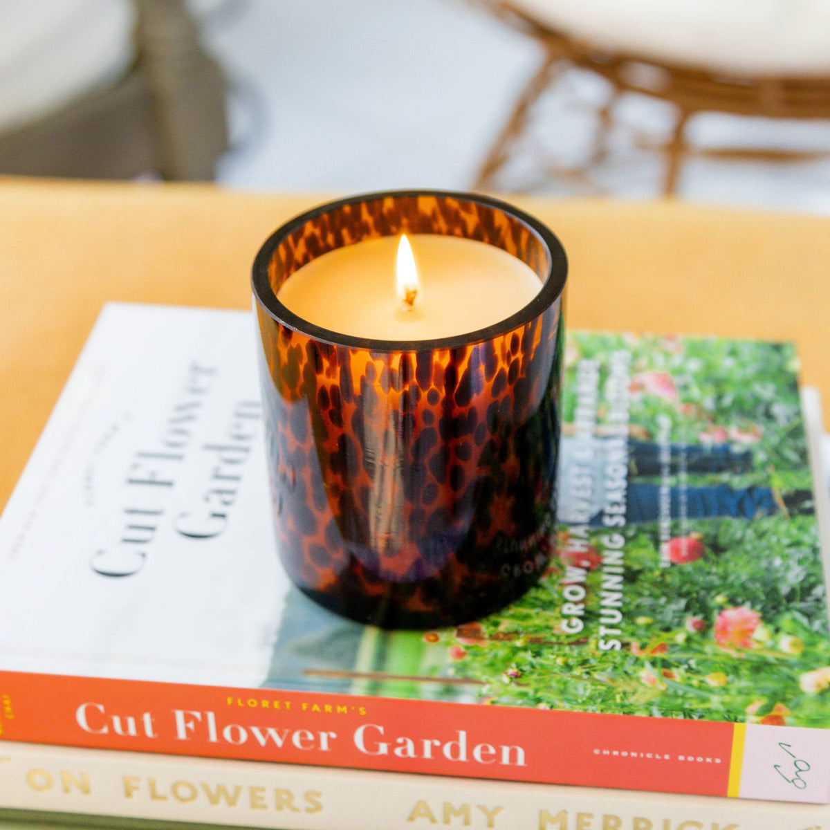 Sweet Grace Collection Candle #064 | Tortoise Candle Bridgewater Candle Company