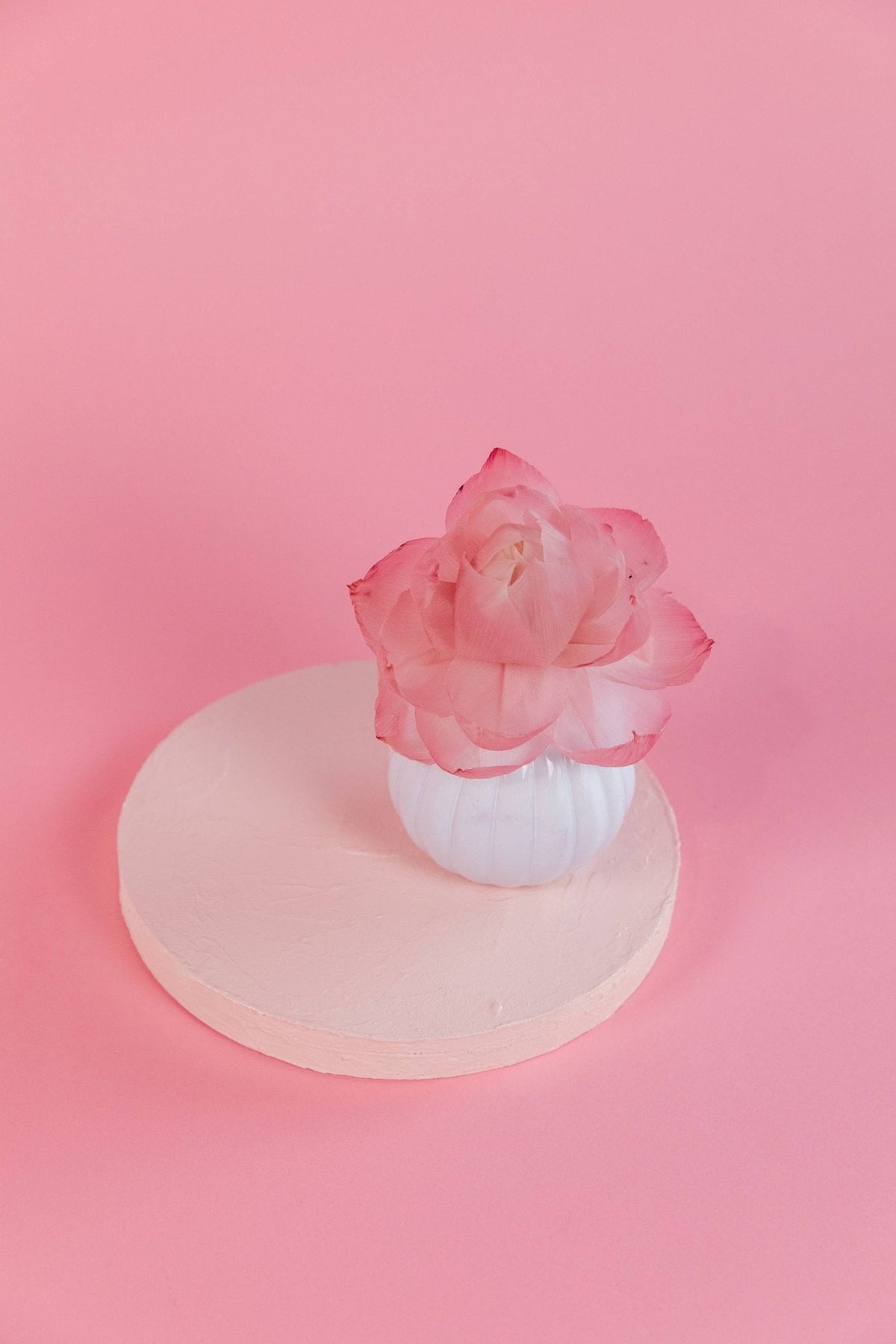 Sweet Grace Flower Diffuser - The Mustard Seed Collection, The Seed