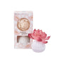 Sweet Grace Flower Diffuser - The Mustard Seed Collection, The Seed
