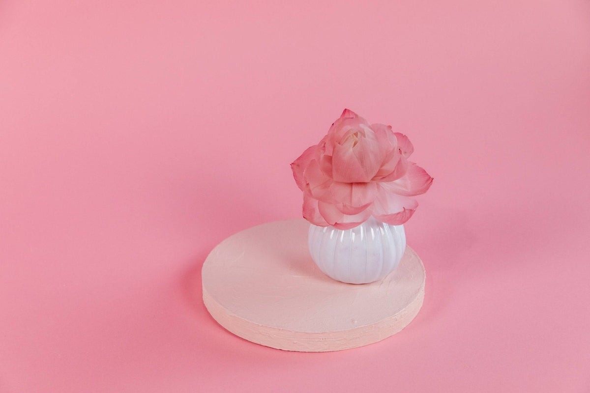 Sweet Grace Flower Diffuser - The Mustard Seed Collection, The Seed