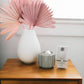 Sweet Grace Wax Bar - The Mustard Seed Collection, The Seed