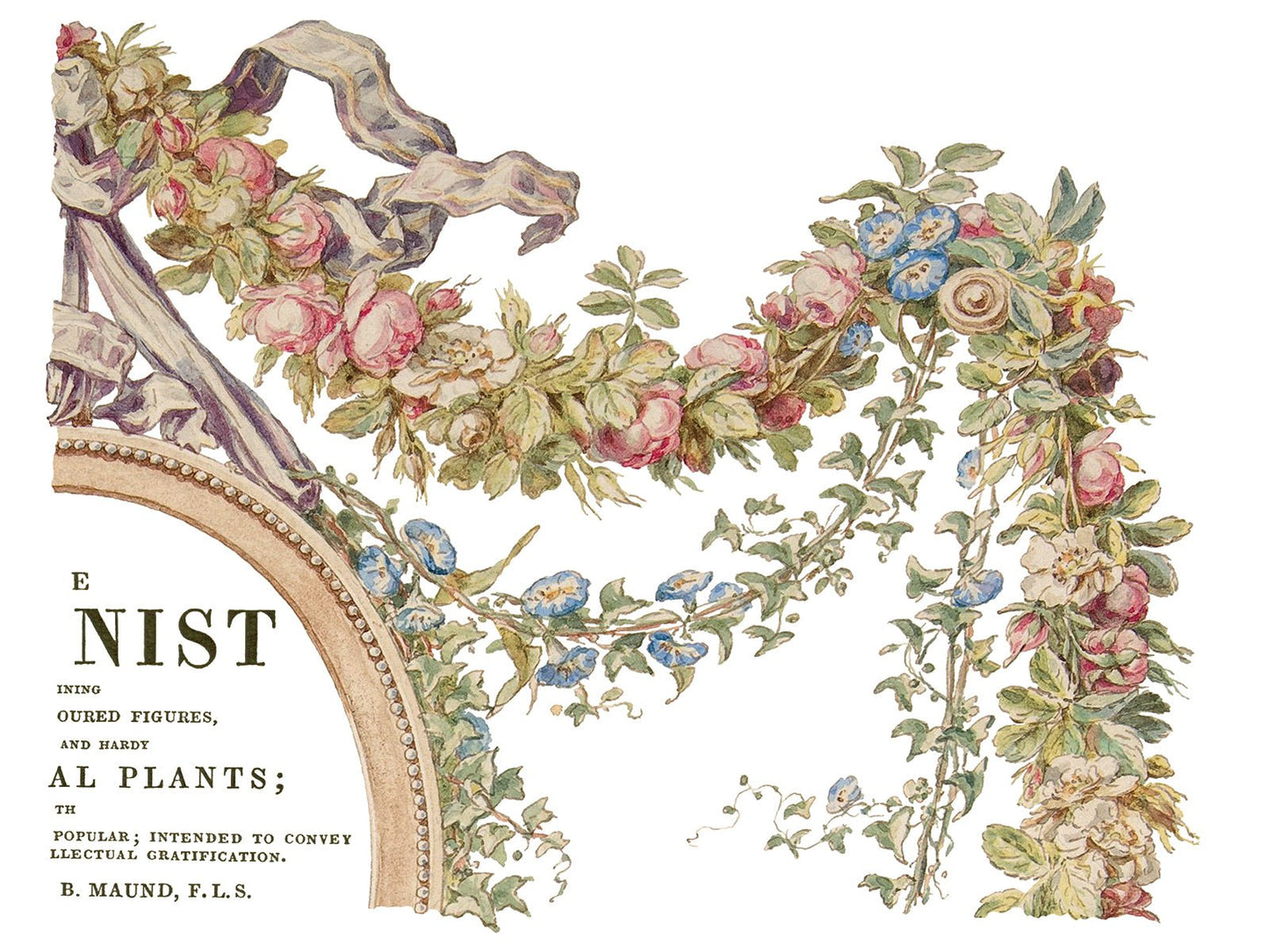 The Botanist IOD Transfer 12x16 Pad