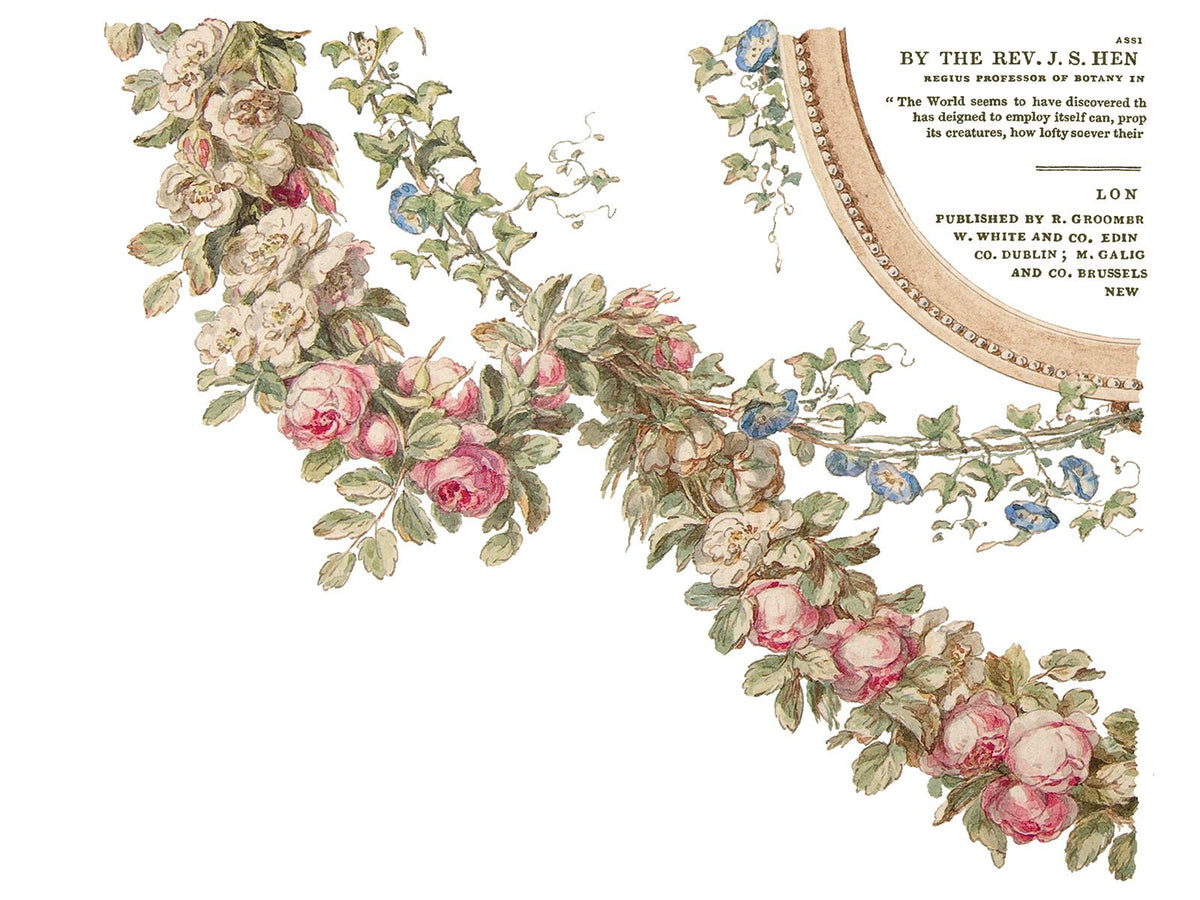 The Botanist IOD Transfer 12x16 Pad - The Mustard Seed Collection, The Seed