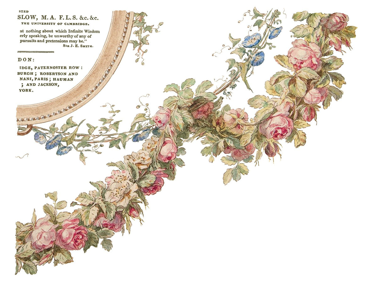 The Botanist IOD Transfer 12x16 Pad - The Mustard Seed Collection, The Seed