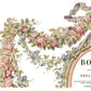 The Botanist IOD Transfer 12x16 Pad - The Mustard Seed Collection, The Seed