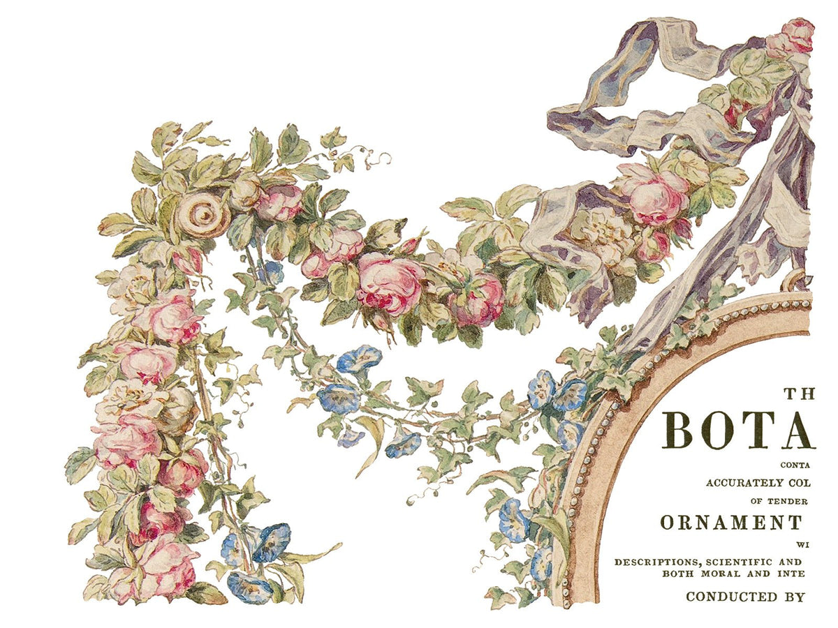 The Botanist IOD Transfer 12x16 Pad - The Mustard Seed Collection, The Seed