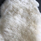 Top Quality British White Sheepskin Rug - Large - The Mustard Seed Collection, The Seed