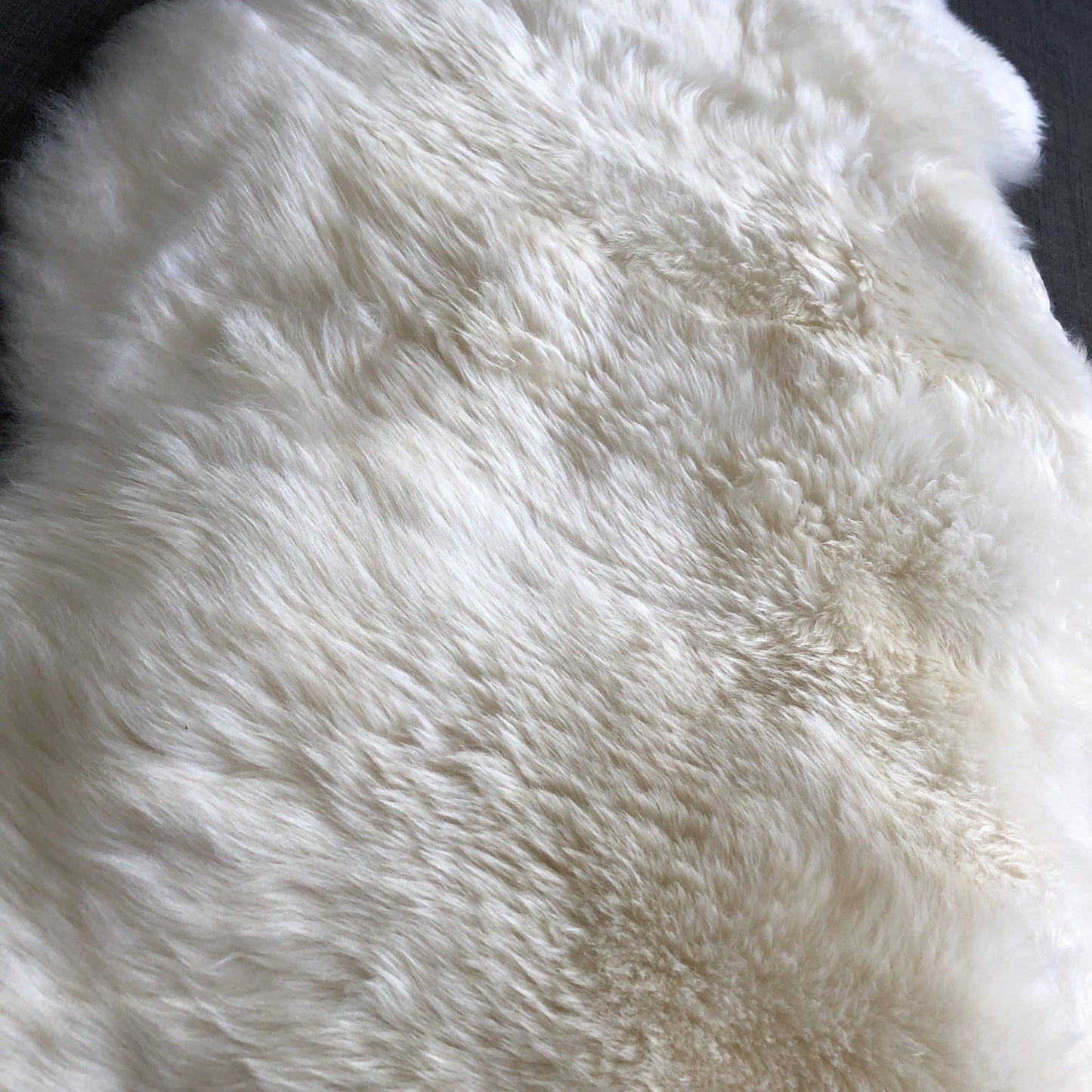 Top Quality British White Sheepskin Rug - Large - The Mustard Seed Collection, The Seed