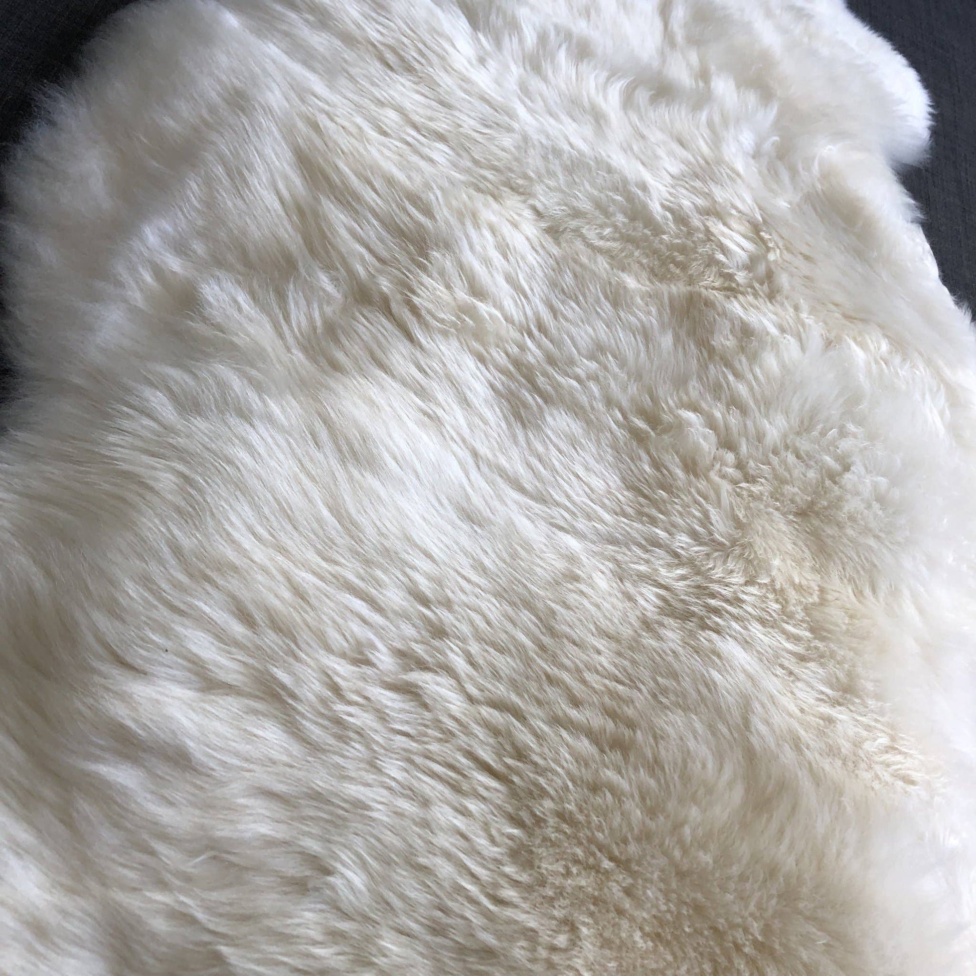 Top Quality British White Sheepskin Rug - Large - The Mustard Seed Collection, The Seed
