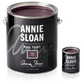 Tyrian Plum Annie Sloan Wall Paint Sample Pot - The Mustard Seed Collection, The Seed