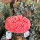 Vintage Coral Pink Velvet Turban Hat - The Mustard Seed Collection, The Seed