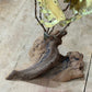 Vintage M. Hinz Signed Brass & Driftwood Marine Fish Sculpture (1987) – 12" x 8" 