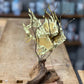 Vintage M. Hinz Signed Brass & Driftwood Marine Fish Sculpture (1987) – 12" x 8" 