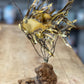Vintage M. Hinz Signed Brass & Driftwood Marine Fish Sculpture (1987) – 12" x 8" 