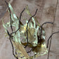 Vintage M. Hinz Signed Brass & Driftwood Marine Fish Sculpture (1987) – 12" x 8"