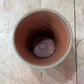 Vintage-Style Ribbed Terracotta Flower Pot – Sage Green, 3.5" (No Drainage Hole)
