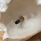 Water Feature Shell Sculpture 
