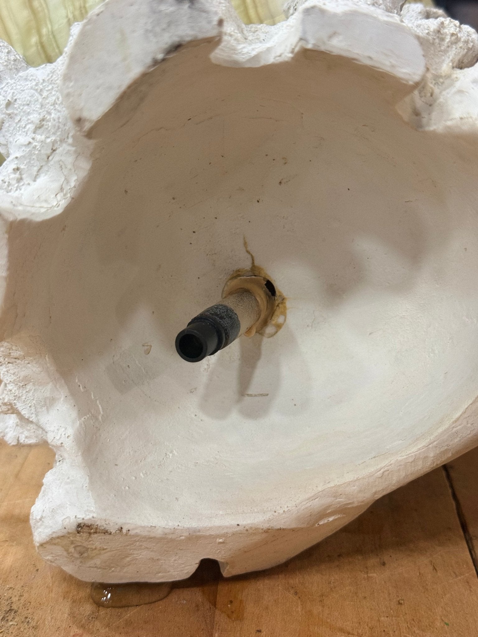 Water Feature Shell Sculpture 