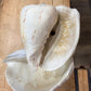 Water Feature Shell Sculpture 