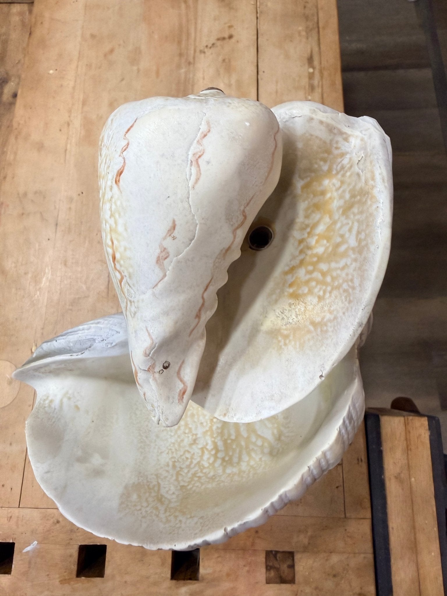 Water Feature Shell Sculpture 