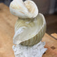 Water Feature Shell Sculpture 