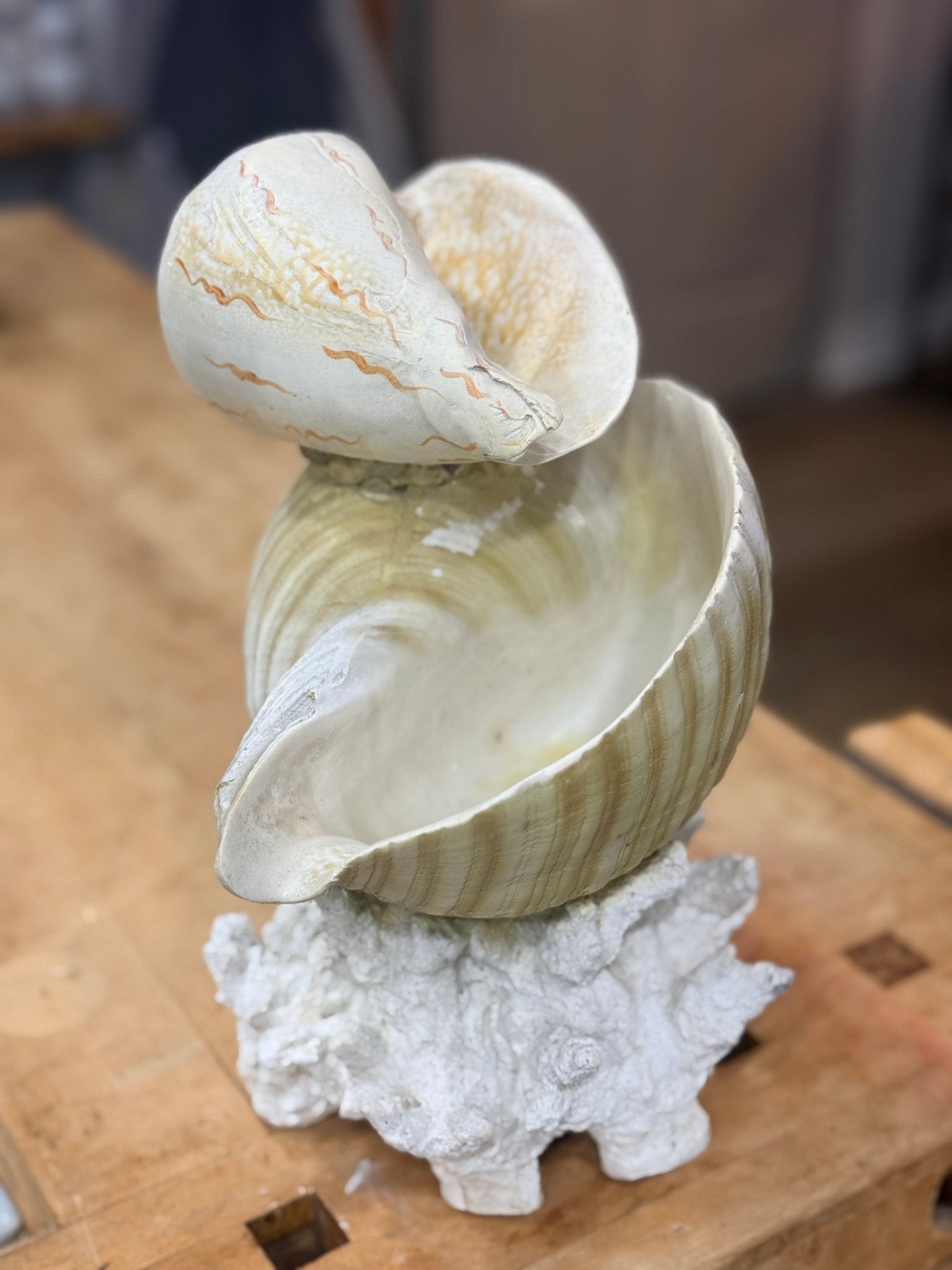 Water Feature Shell Sculpture 