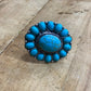 Western Design Turquoise Knob