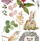 Whispering Willow IOD Transfer 12x16 Pad - The Mustard Seed Collection, The Seed