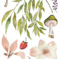 Whispering Willow IOD Transfer 12x16 Pad - The Mustard Seed Collection, The Seed