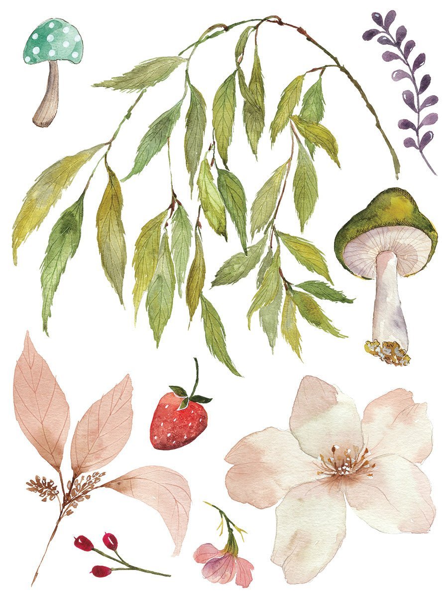 Whispering Willow IOD Transfer 12x16 Pad - The Mustard Seed Collection, The Seed