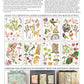 Whispering Willow IOD Transfer 12x16 Pad - The Mustard Seed Collection, The Seed