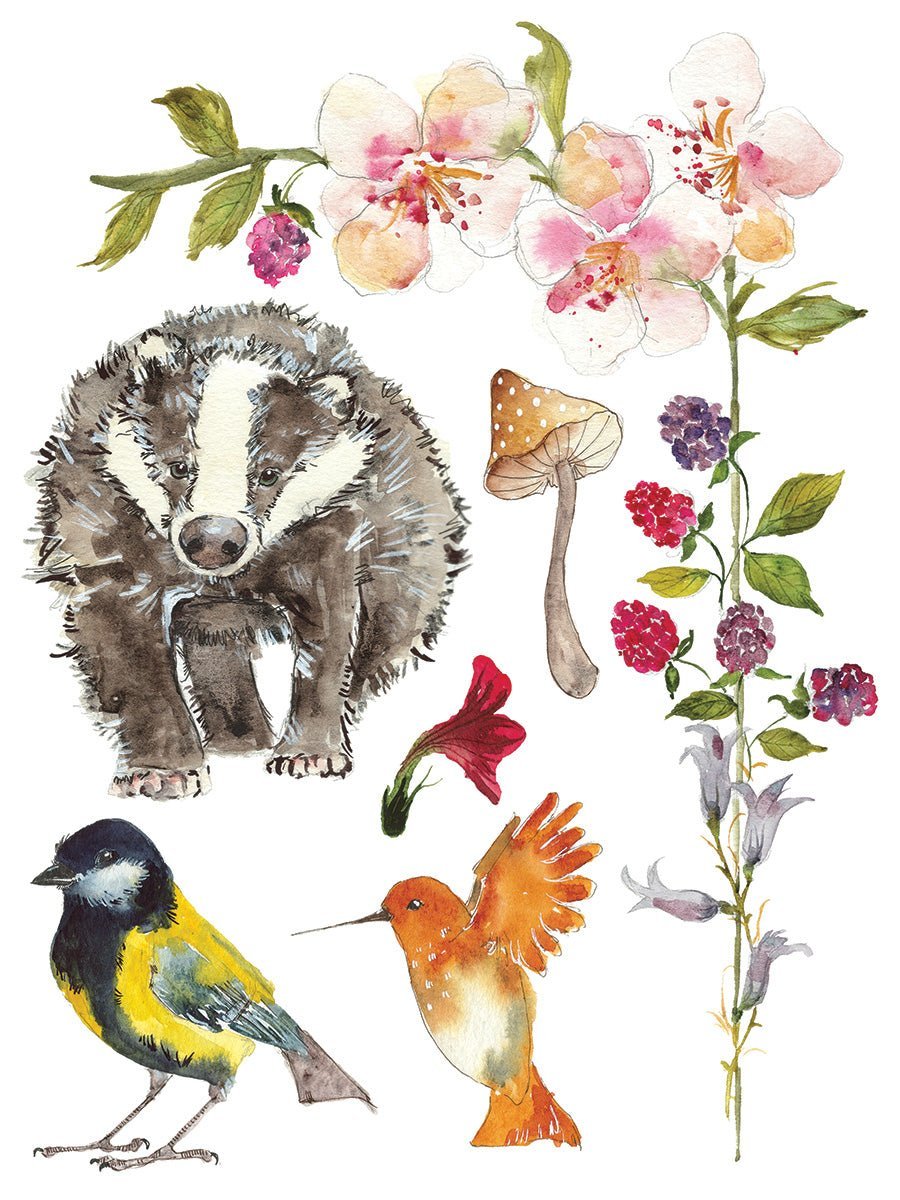 Whispering Willow IOD Transfer 12x16 Pad - The Mustard Seed Collection, The Seed
