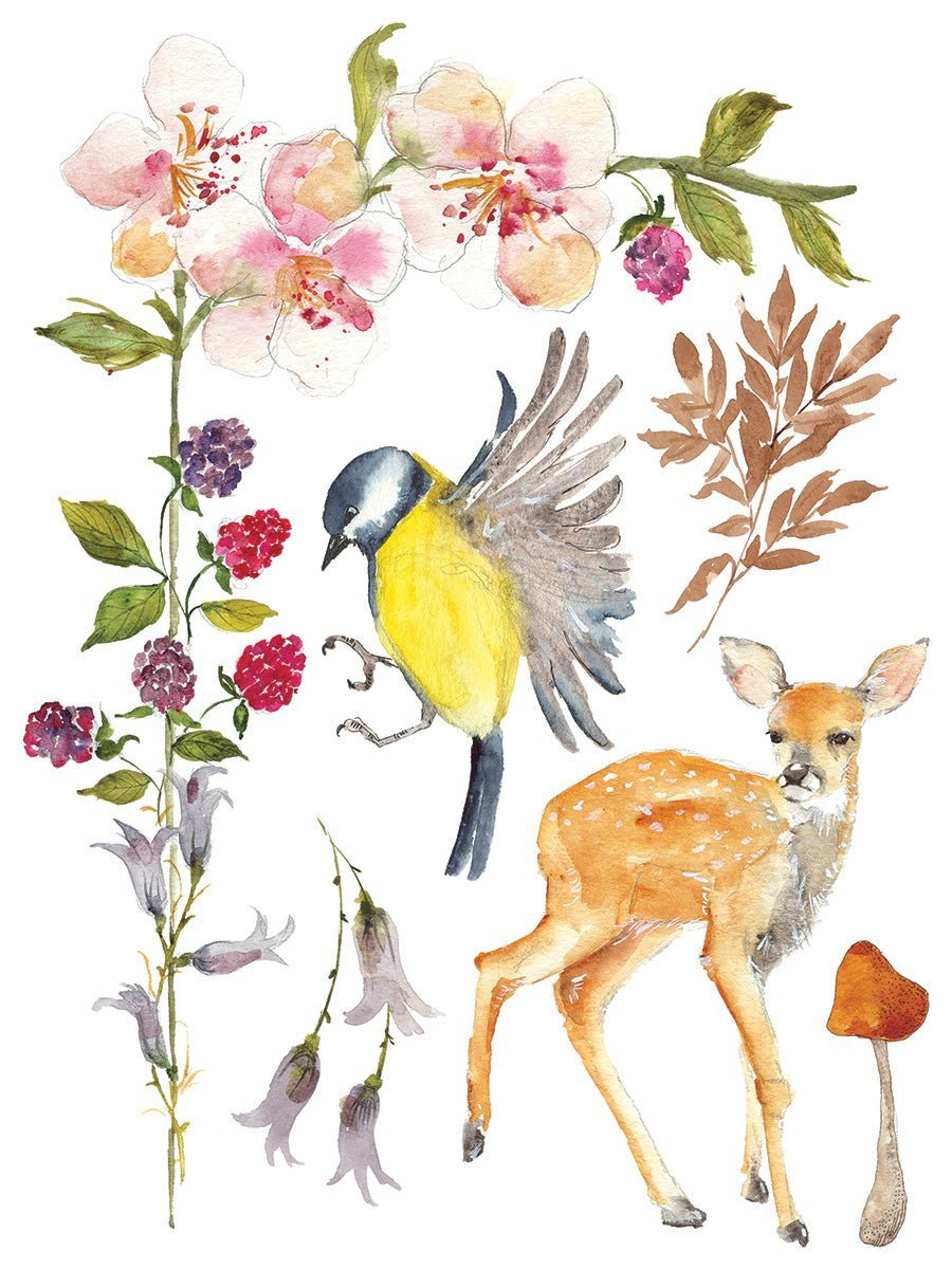 Whispering Willow IOD Transfer 12x16 Pad - The Mustard Seed Collection, The Seed