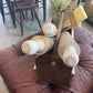White Wooden Distressed Rolling Pin
