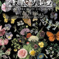 Wilde Bloom IOD Transfer 8x12 Pad™ - The Mustard Seed Collection, The Seed