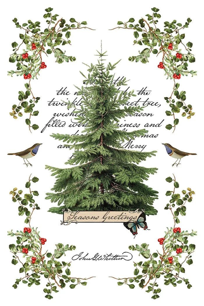 Winter Botanist IOD Transfer 8X12 - The Mustard Seed Collection, The Seed