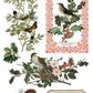 Winter Botanist IOD Transfer 8X12 - The Mustard Seed Collection, The Seed